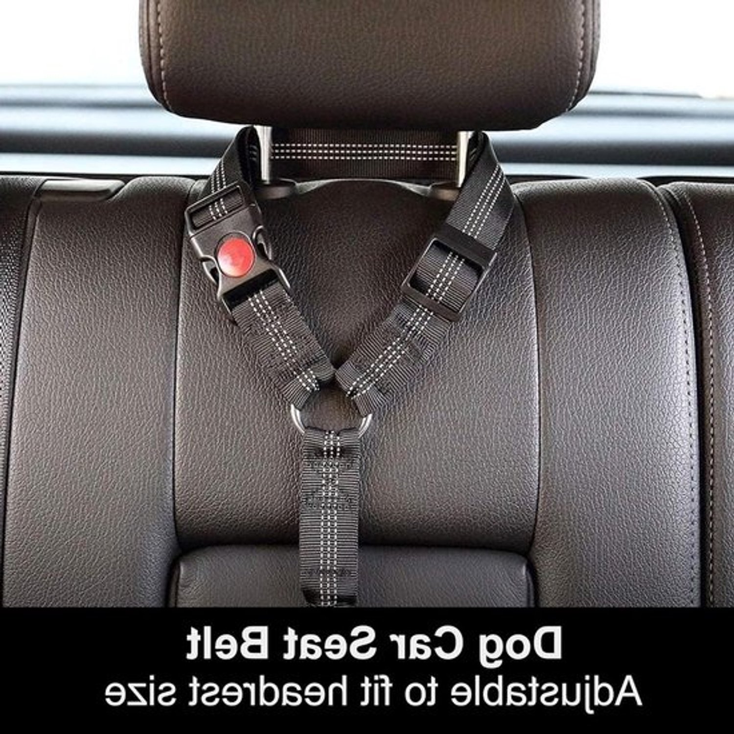 Autogordel Voor Honden - Veiligheidsriem Auto - Veilig Reizen - Elastische Buffer - Verstelbaar - Zwart