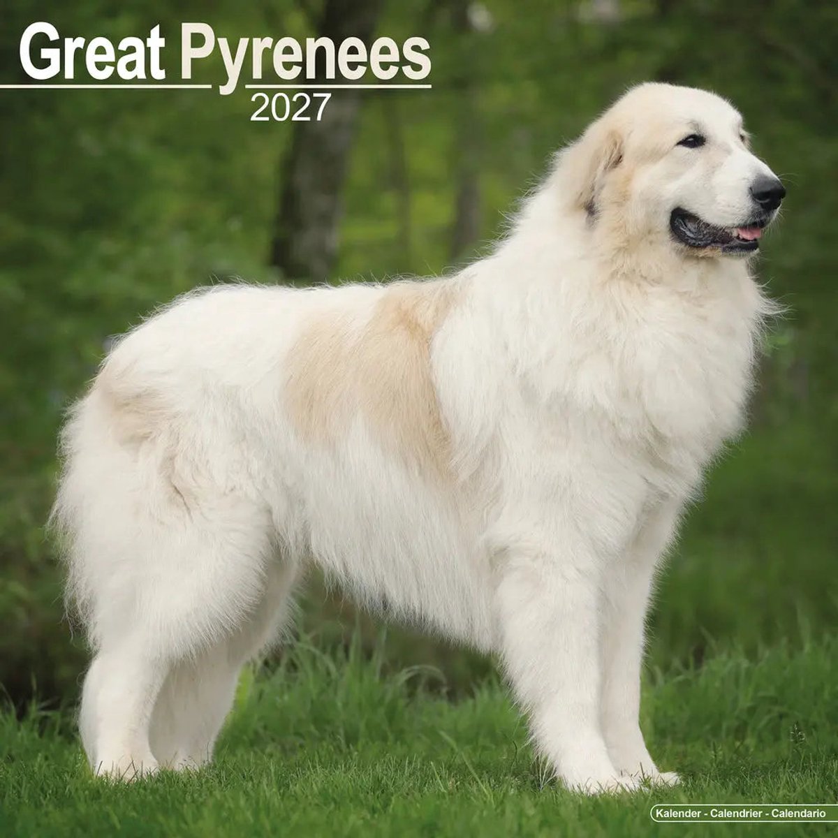 Pyreneese Berghond Kalender 2027