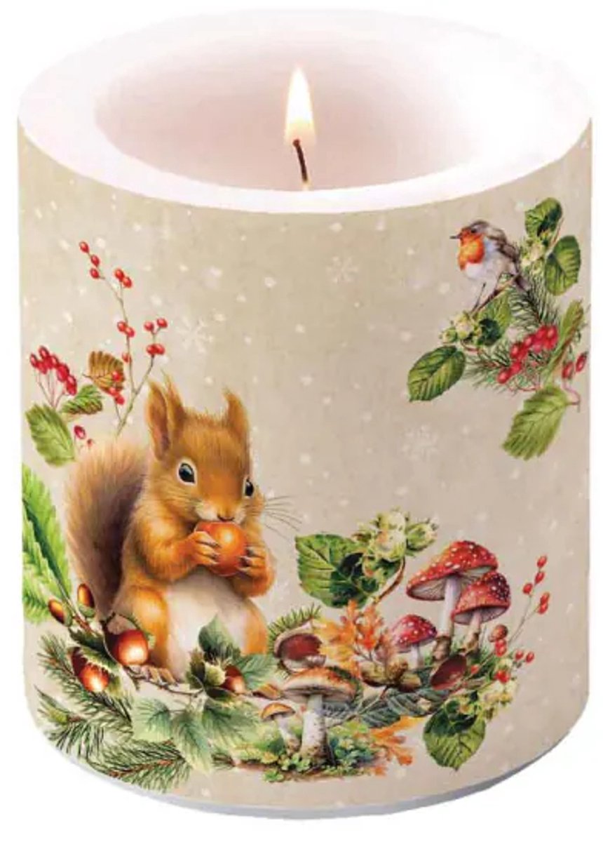 Ambiente - Kaars - Fruit Collector - 35 branduren