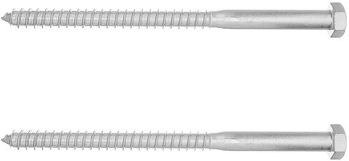 Houtschroeven - Zeskantbouten - Voor stevige houtverbindingen - Weerbestendig - 2 stuks - Zilver