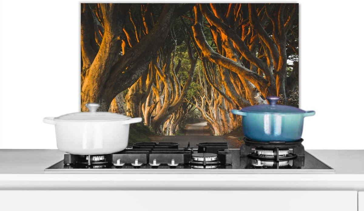 Spatscherm Keuken - 70x50 cm - Tunnel van bomen in Ierland