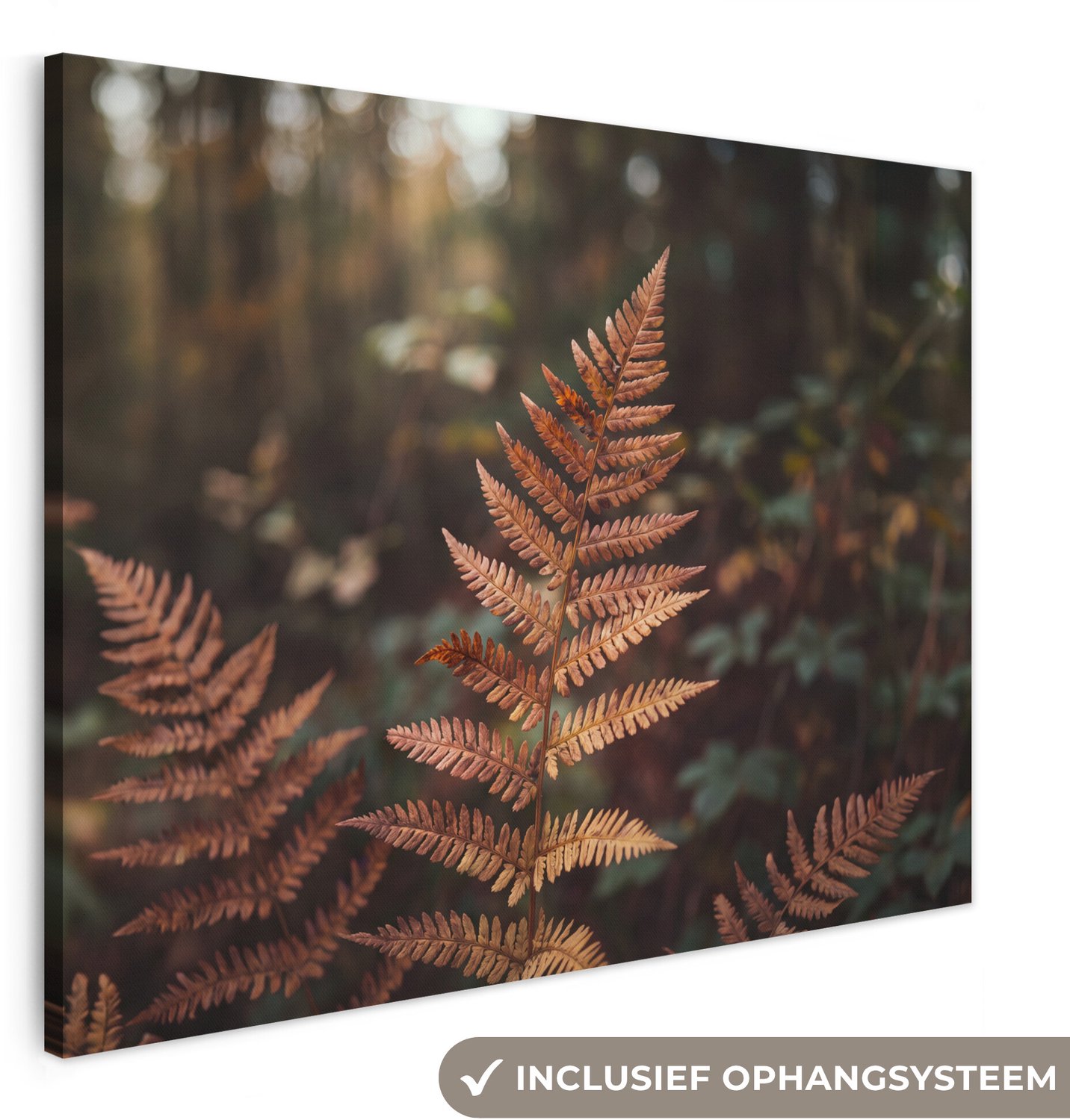 Canvas schilderij 160x120 cm - Exclusieve wanddecoratie Varen - Herfst - Natuur - Muurdecoratie woonkamer - Slaapkamer decoratie - Kamer accessoires - Schilderijen op canvas groot XXL