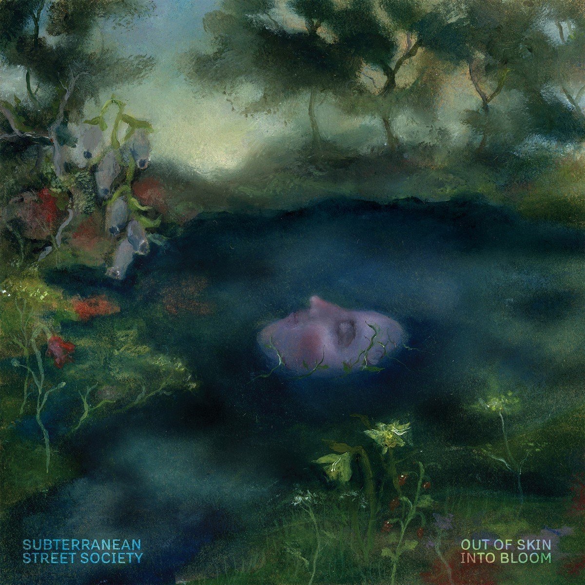Subterranean Street Society - Out Of Skin, Into Bloom (CD)