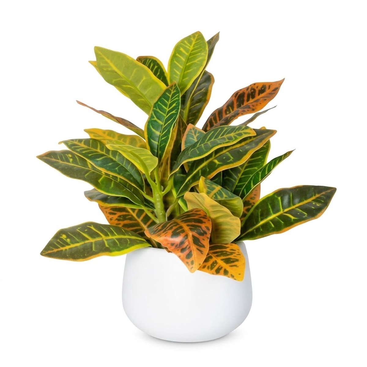NUVEX Groene kunstplant in witte pot 1 stuk – kunstmatige bonsai met geel oranje bladpatroon en langwerpige bladeren – decoratieve nep plant voor woonkamer kantoor bureau tafel vensterbank en woondecoratie