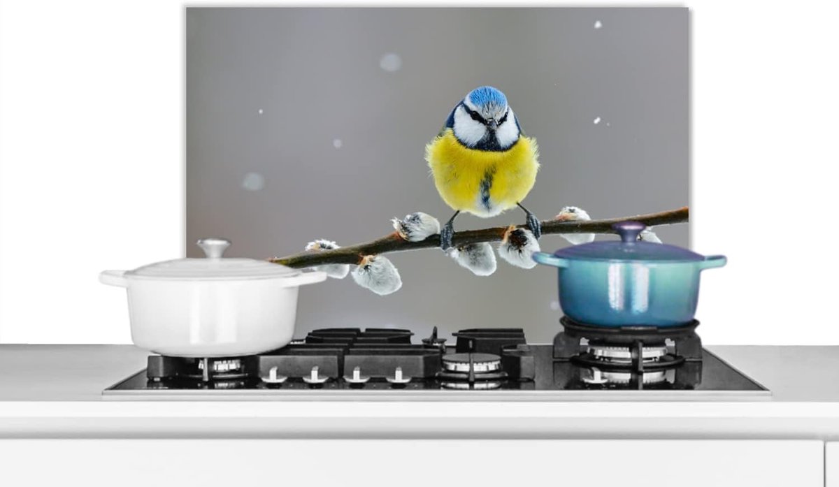 Spatscherm Keuken - 70x50 cm - Pimpelmees - Vogel - Tak - Geel - Blauw
