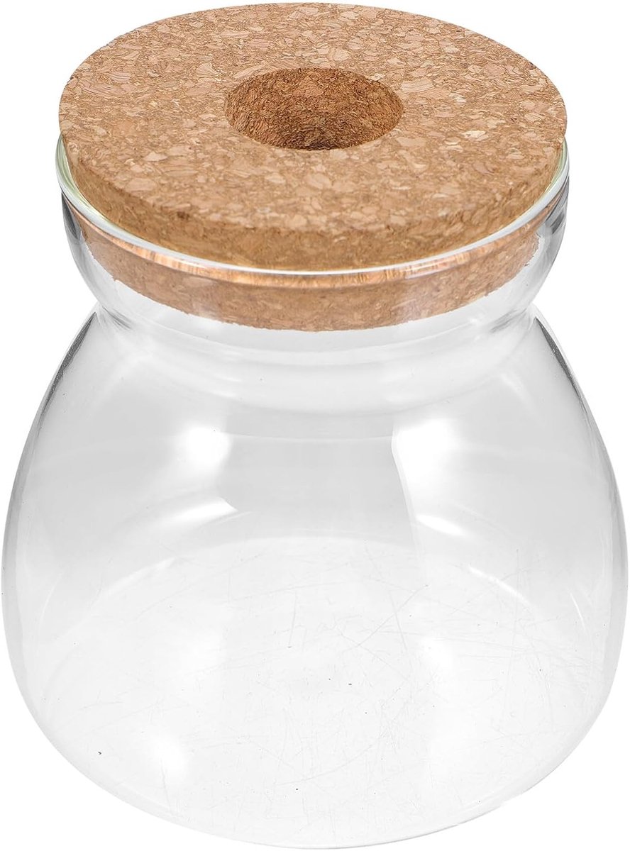 Sappige vaas decoratief Containers vermeerderingspotten terrarium pot terrarium glazen terrarium container voor hydrocultuurplanten houten Transparent