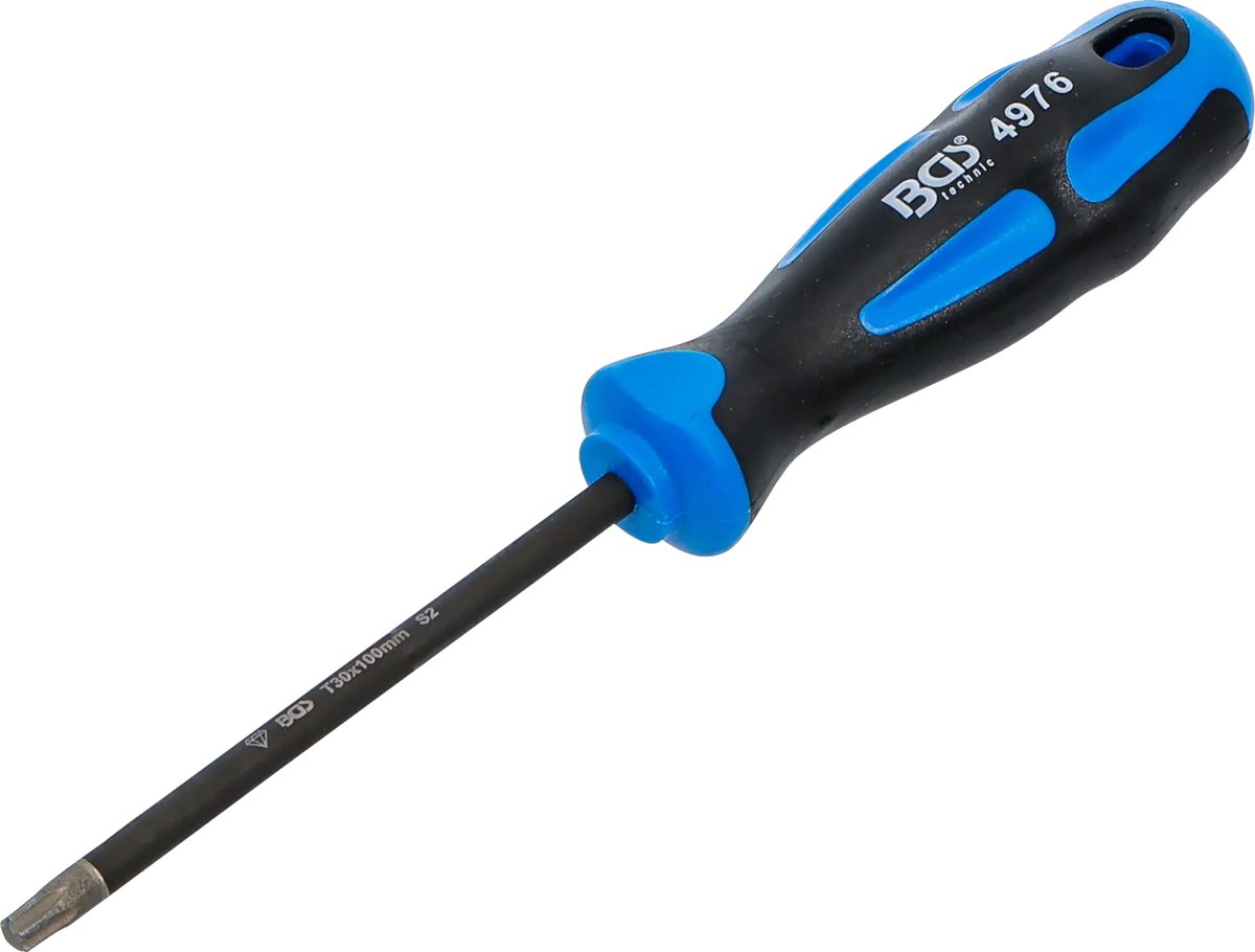 BGS Schroevendraaier - met diamantcoating - Torx T30