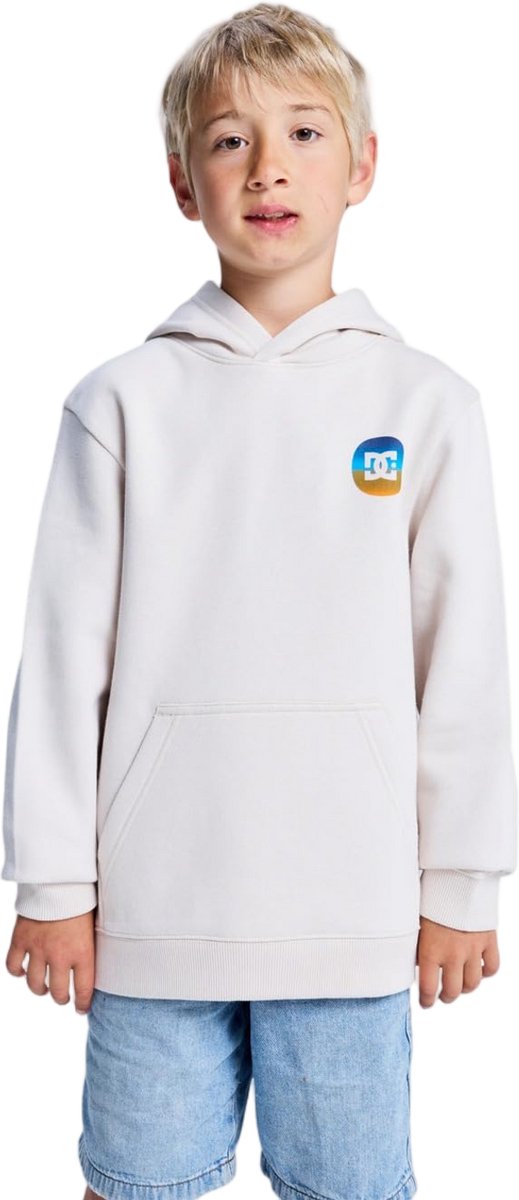 DC Shoes Shape Destroy XL Beige