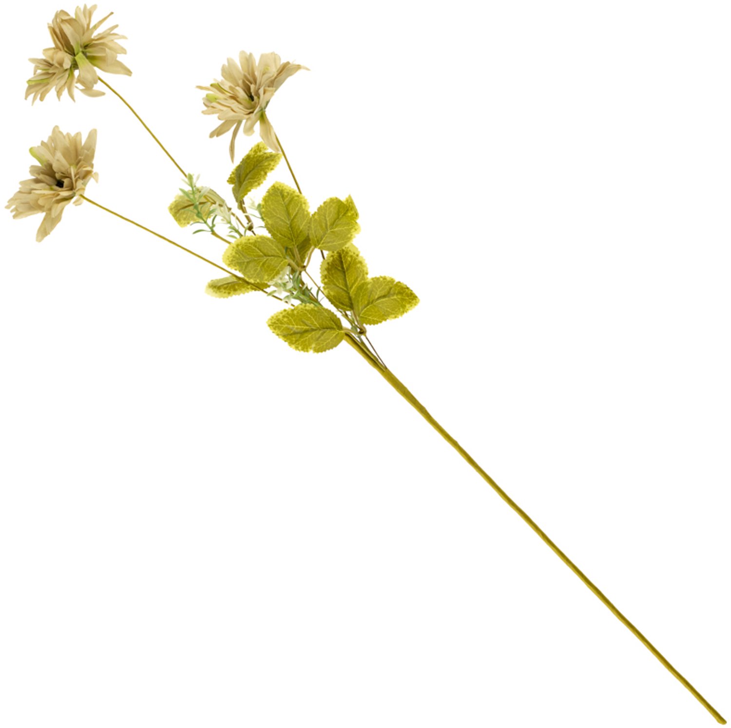 Veldboeket rudbeckia 79cm beige