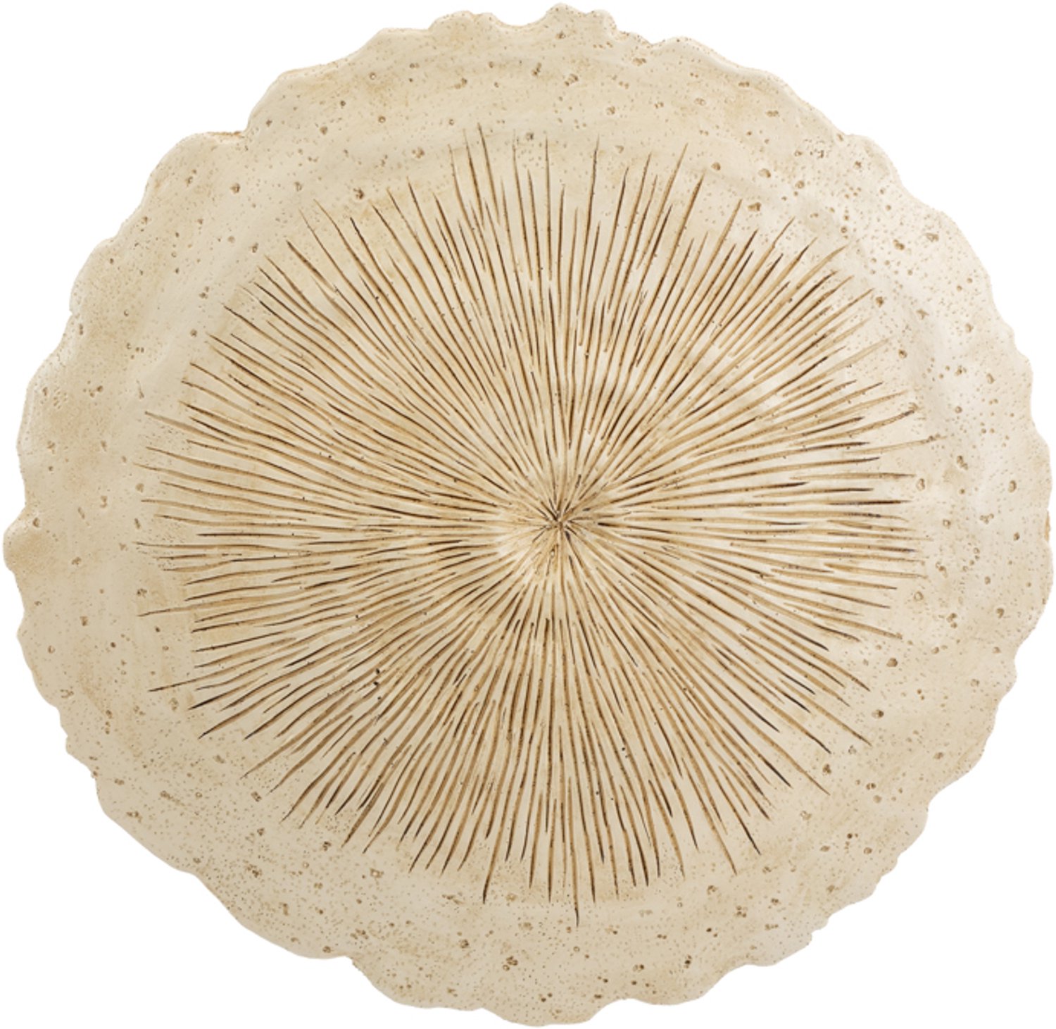 Wanddecoratie Arko S