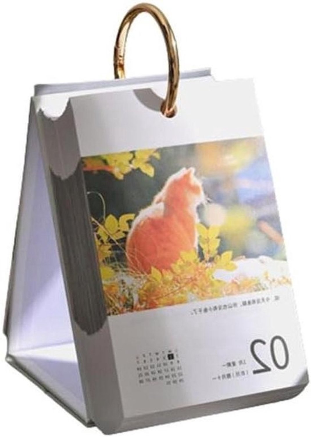 Staande omklapbare bureaukalender met kattenmotief voor 2024, afscheurbare kalender voor eenrichtingsgebruik, literaire stijl, bureaukalender voor 2024, display voor kantoor of bureau, cadeaukalender voor 2023-2024