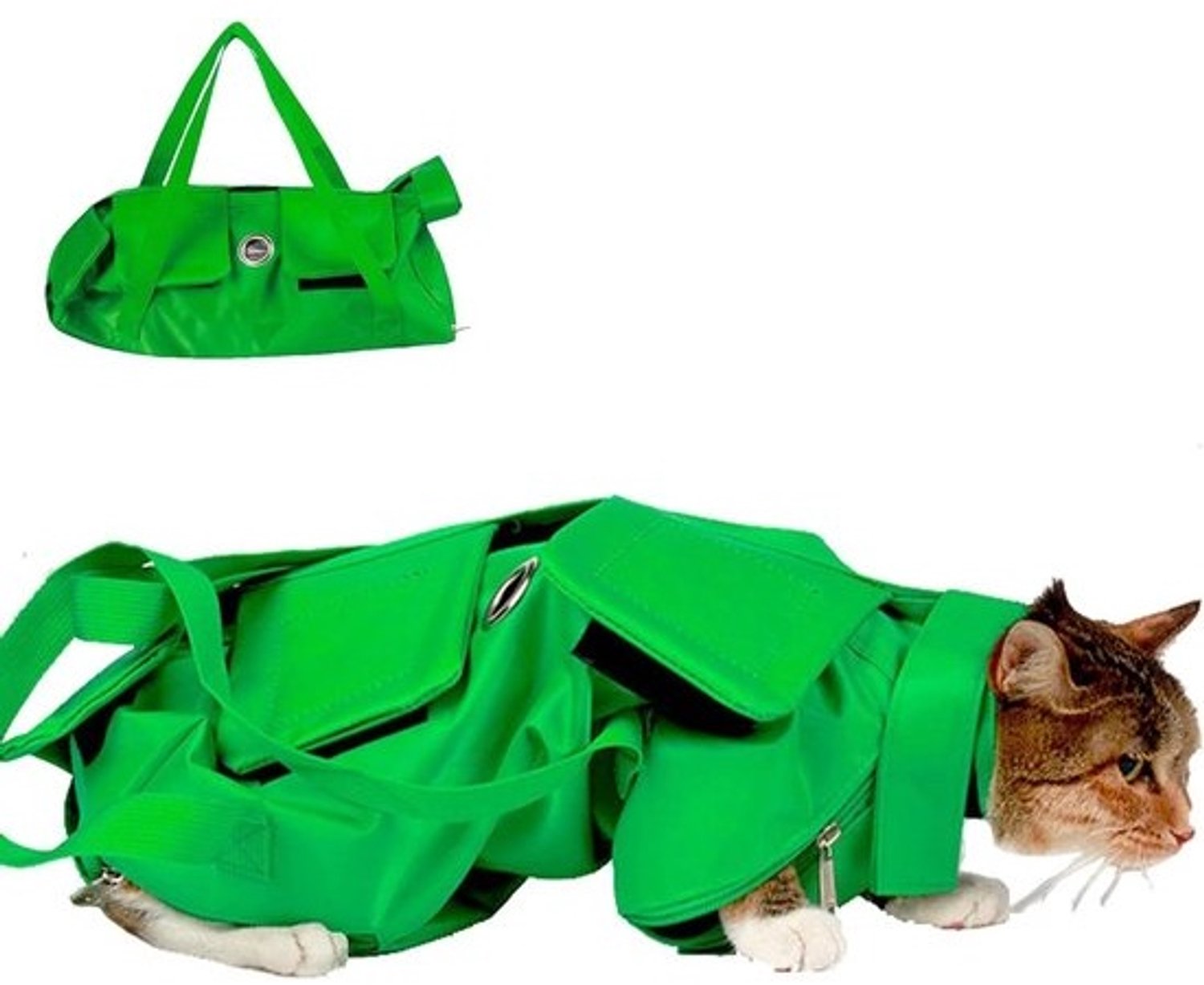 Kattentas voor reizen - Draagtas voor huisdieren - Veilig vervoer - Opvouwbaar ontwerp - 30x20x5 cm - Groen