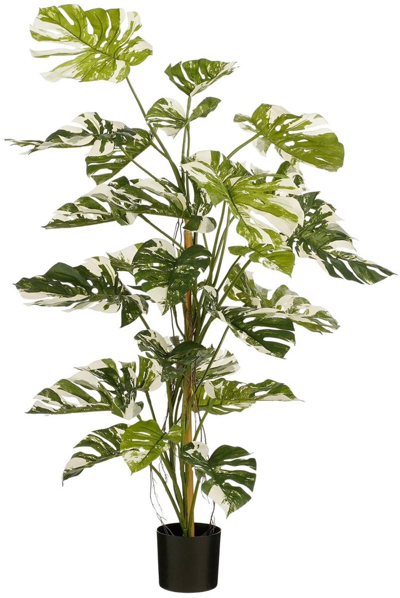 Mica Decorations Monsteraboom Kunstplant - H140 x Ø120 cm - Groen