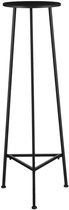 Mica Decorations Adine Plantentafel - H120 x Ø35 cm - Metaal - Zwart