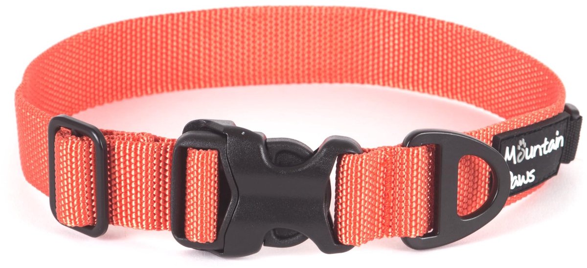 Elzusha - Hondenhalsband met naamplaatje - Voor nekmaat 26-38cm - Oranje
