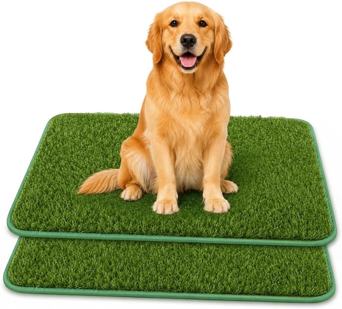 Set van 2 hondentoiletten met kunstgras, ideaal voor puppy's en zindelijkheidstraining, 46 x 58 cm