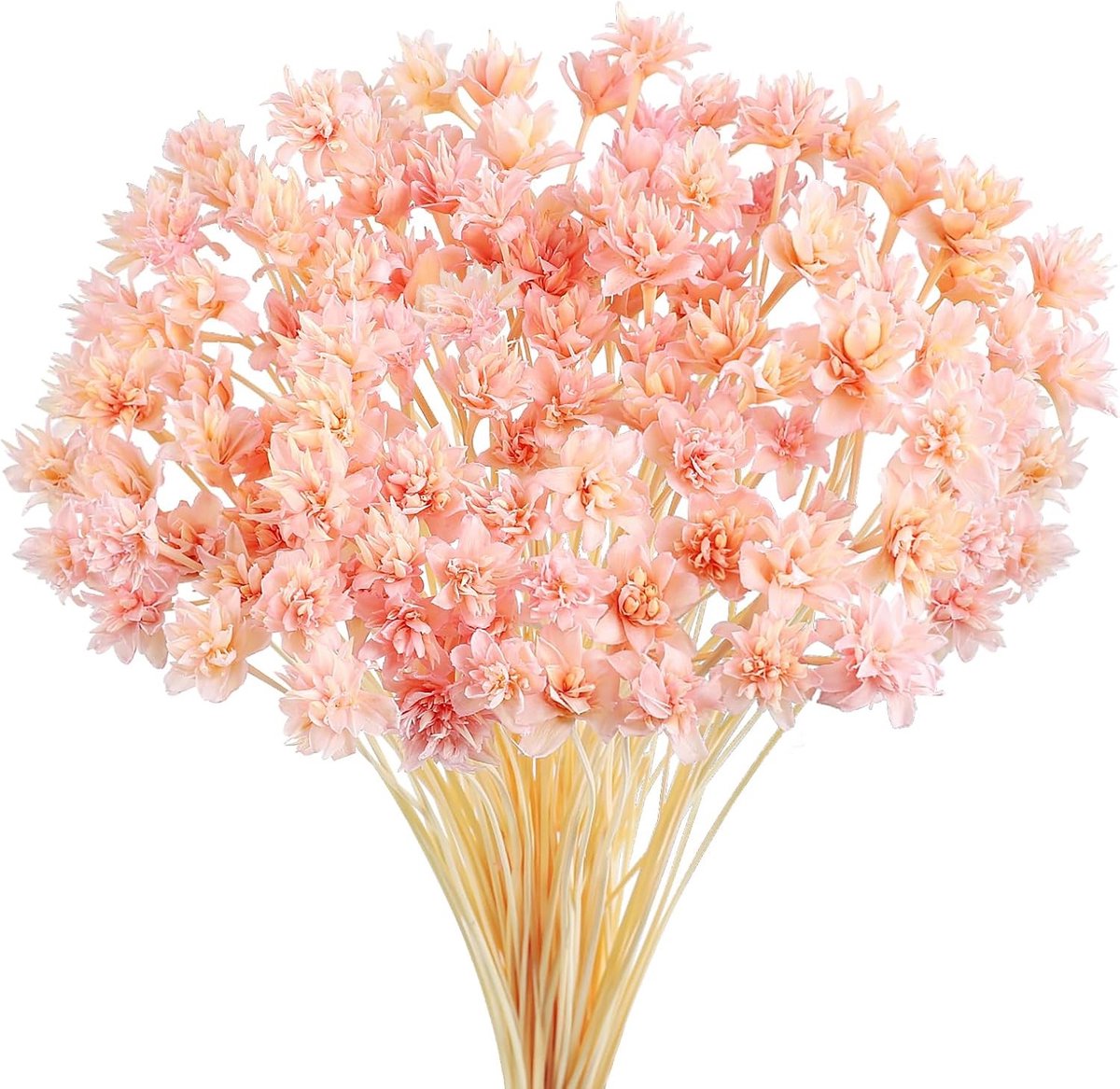 100 Stuks Gedroogde Bloemen, Mini Daisies en Kamille voor Bloemarrangementen en Bruiloften, Perfecte Decoratie voor Elk Gelegenheid