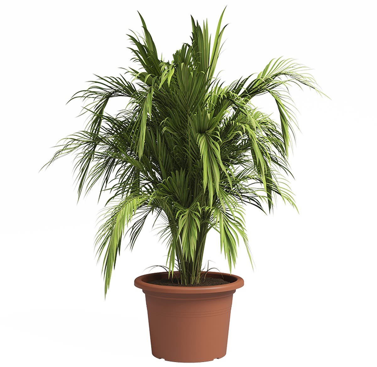 artevasi Venezia Cilindro plantenbak terracotta Ø 45 cm - kunststof