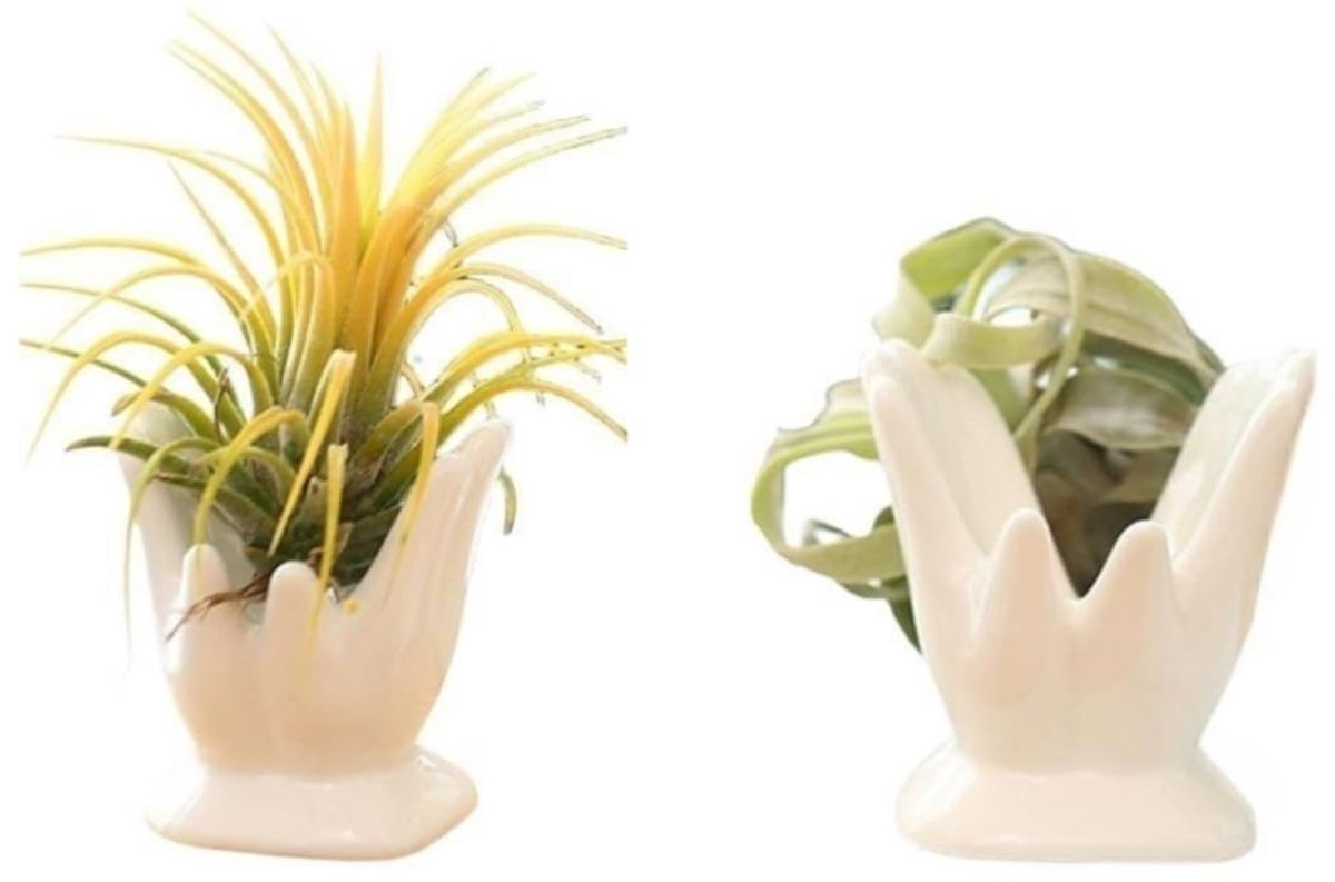 ourhommie Luchtplantenhouder Leuke Keramische Mini Handvorm Standaard Luchtplanten Tillandsia Kleine Container Pot - ShopVlot