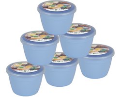 Just Pudding Basins Pastelkleuren 1/4 pint klein bassin en doorzichtig deksel, 0,25 pt, pak van 6 plastic stoomkommen - ShopVlot