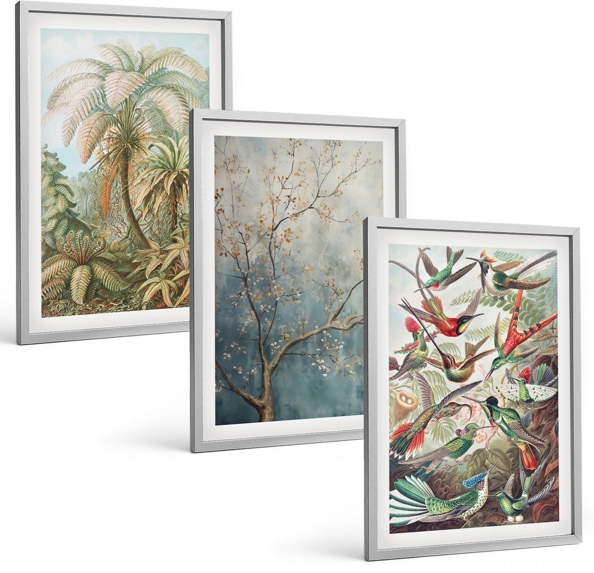 Coloray 3-Delige Schilderij Set - Tropische Planten En Kleurrijke Vogels In De Natuur - 40 x 60 cm - Stijlvolle Muurdecoratie - Slaapkamer