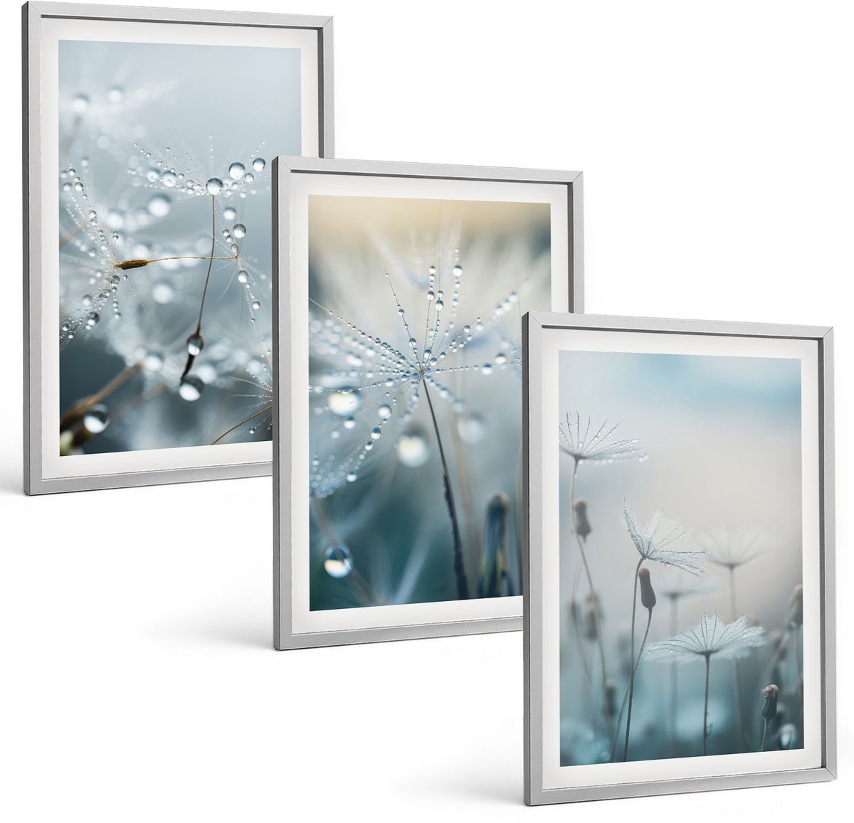 Coloray 3-Delige Schilderij Set - Dauwdruppels Op Tere Paardenbloemen - 40 x 60 cm - Stijlvolle Wanddecoratie - Interieur