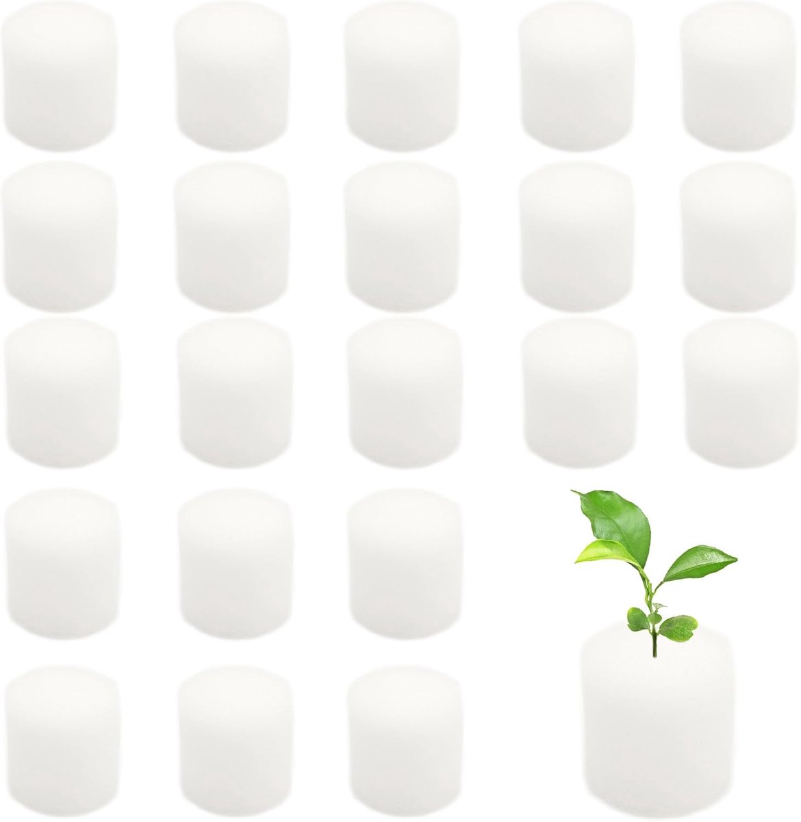 Dailygoods- Hydrocultuur Spons 100 Stuks - Cilindrische Zaaisponzen - Zacht/Elastisch - Vochtvasthoudend - Planten Tool - Optimale Teelt - Zaaispons