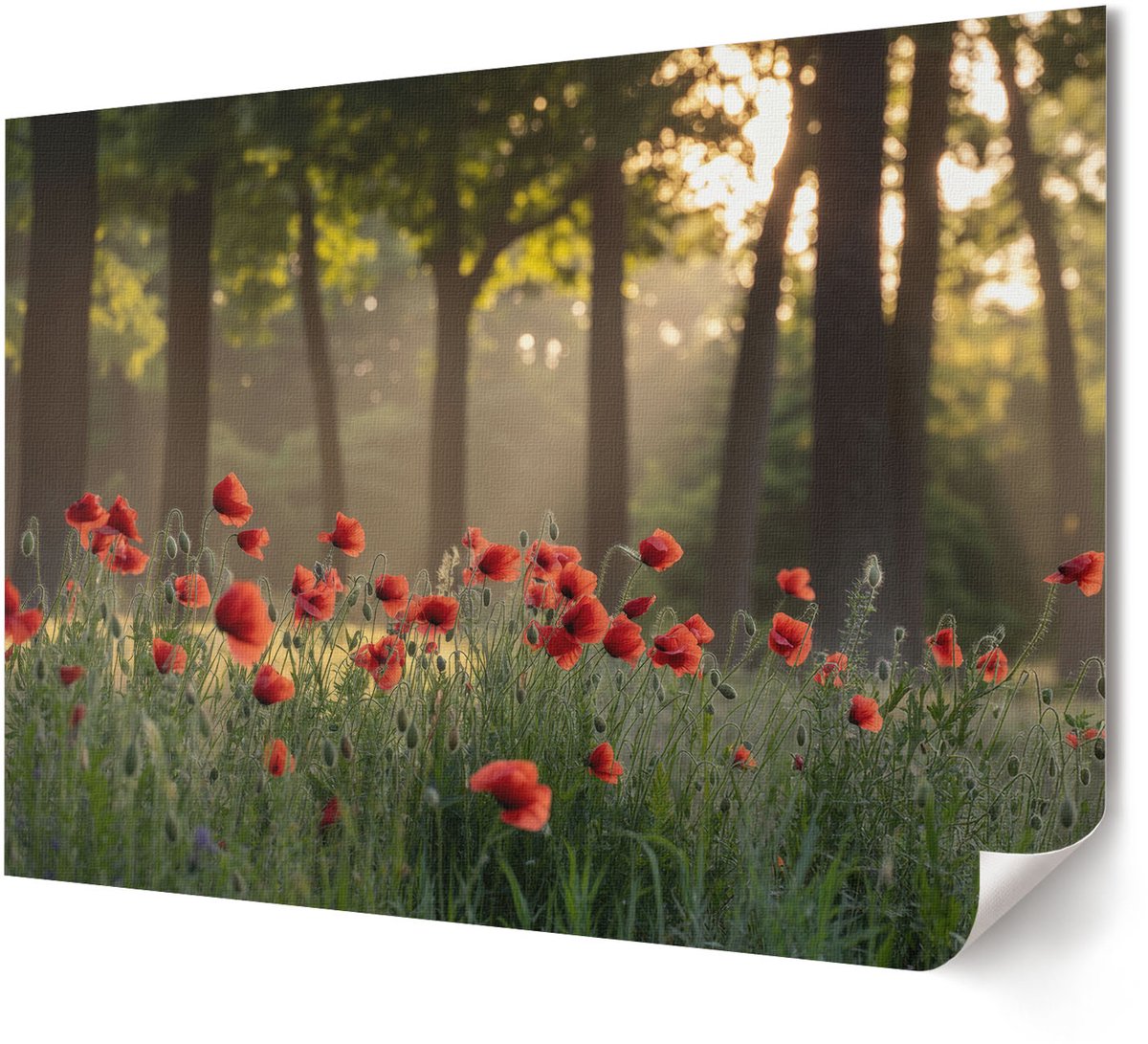 Coloray Polycanvas Poster - Berglandschap, Fotografie - A4 - Grijs Wanddecoratie - Rechthoek - Muurdecoratie - Woonkamer, Slaapkamer, Kantoor - Klassiek