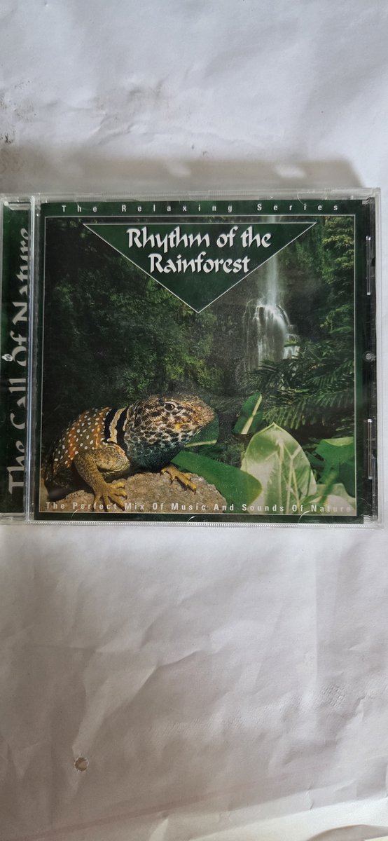 Rhythm Of The Rainforest