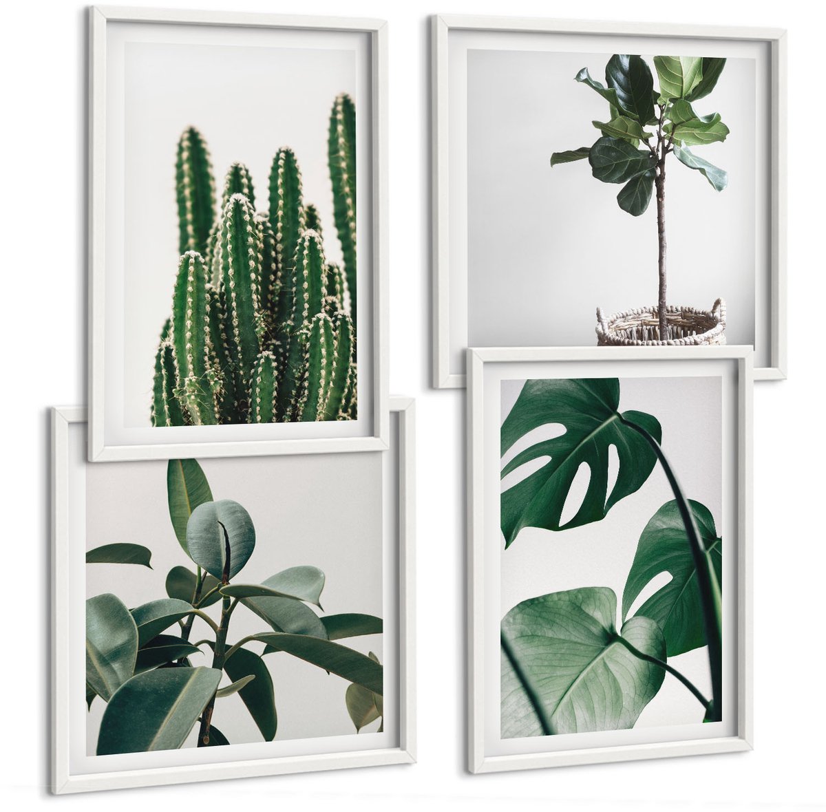 Coloray 4-Delige Schilderij Set - Tropische Kamerplanten Met Esthetische Bladeren - 40 x 40 En 40 x 60 - Stijlvolle Muurdecoratie - Kantoor - Interieur Decoratie