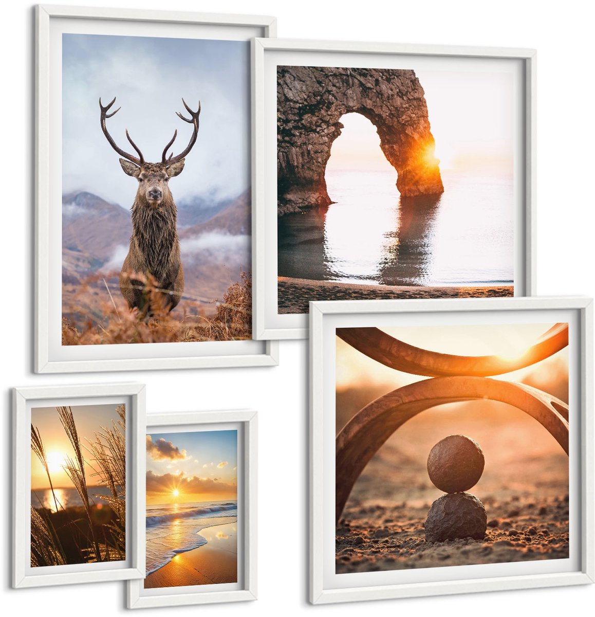 Coloray 5-Delige Schilderij Set - Natuur En Wilde Dieren In Een Harmonieuze Omgeving. - 50 x 50 cm, 20 x 30 cm En 40 x 60 cm - Wanddecoratie - Woonkamer Decoratie - Interieur Decoratie