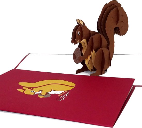 Pop-up kaart"Eekhoornchen" grappige 3D verjaardagskaart; uitnodigingskaart en kerstkaart met envelop als cadeaubon, klein cadeau-idee en decoratie — afbeelding 3