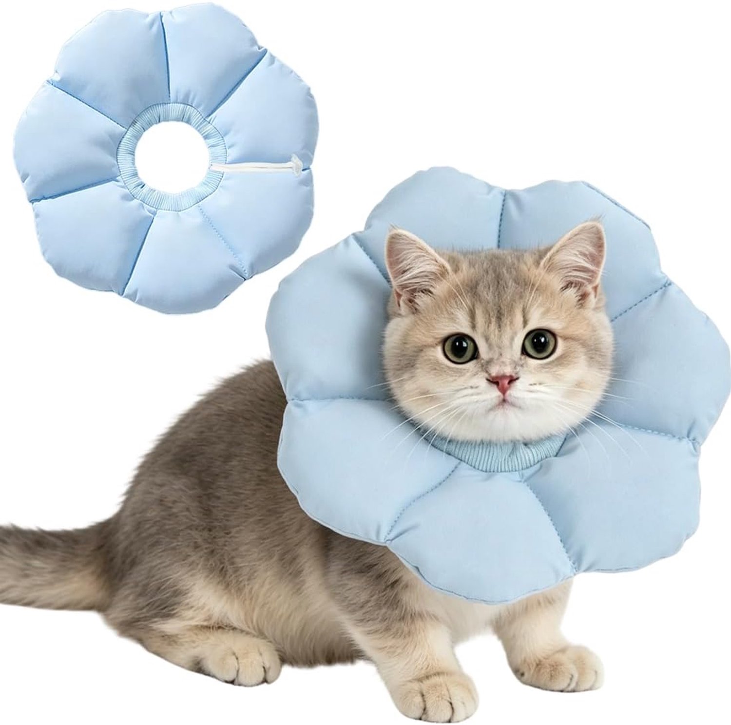 Kat maat M, instelbare lekbescherming voor katten, zachte halsband voor katten, kleine honden na operatie, Elizabethaanse kraag, blauw