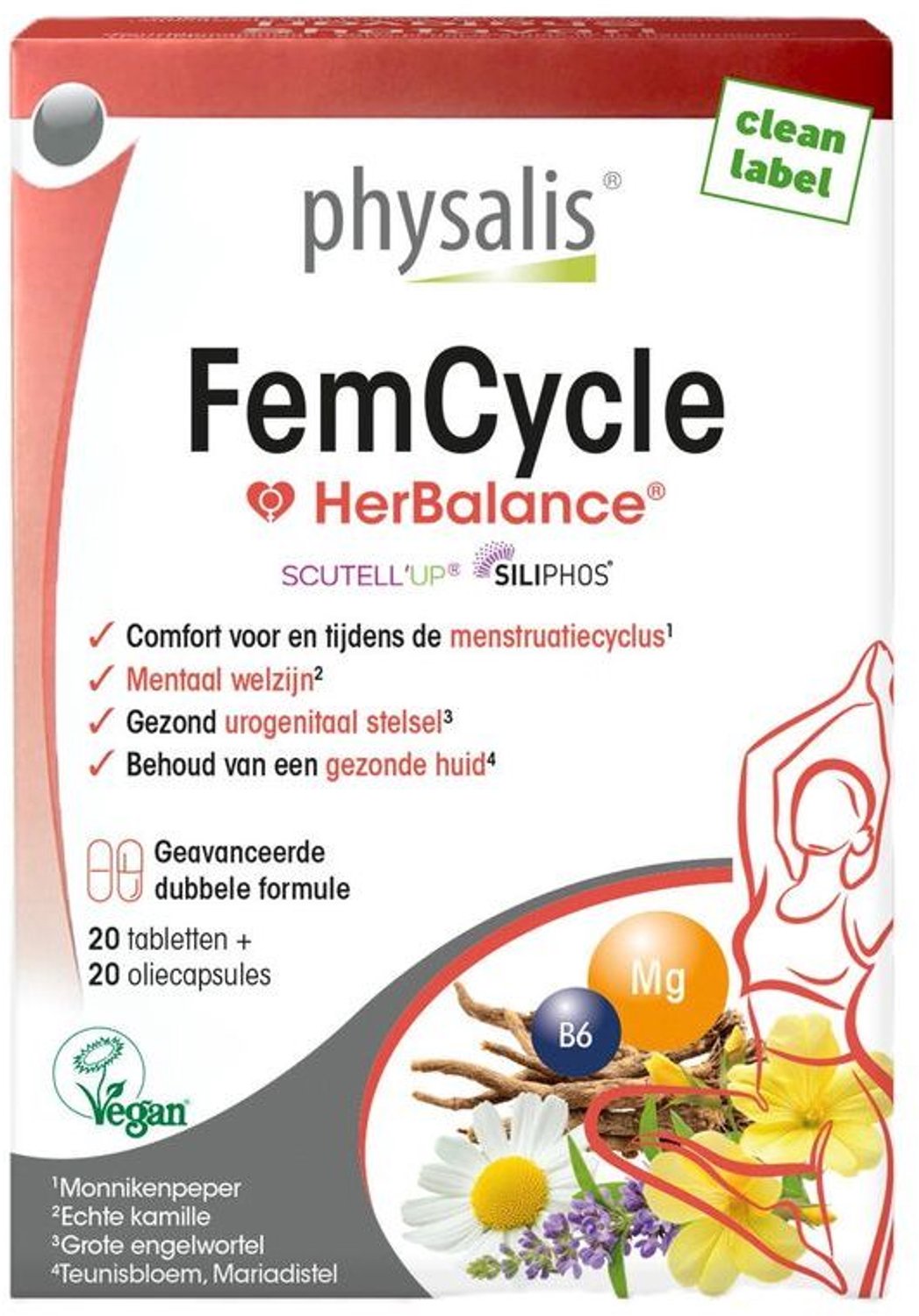 Physalis Femcycle Tabletten + Capsules (40 stuks)