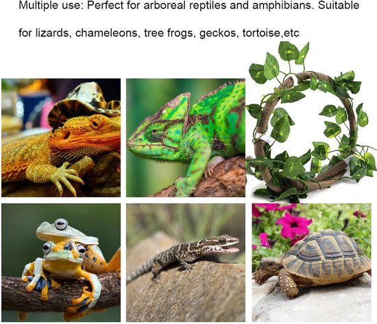 Reptiel Klimplant Flexibel Jungle Decor 3,28ft Rotan met Scindapsus Bladeren voor Hagedissen Kameleons 's Boomkikkers Schildpad Aquarium Terrarium Decoratie (Rotan + groene radijsbladeren) — afbeelding 4