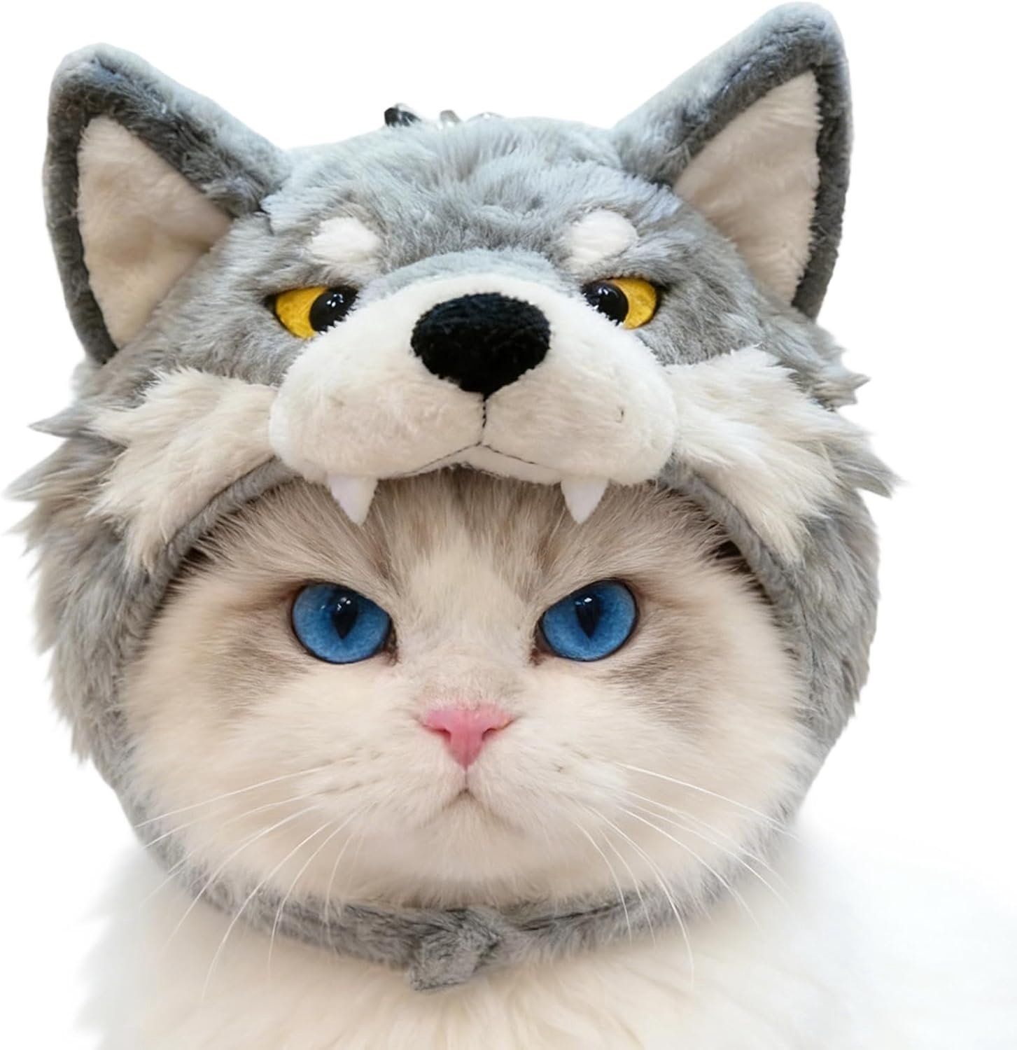 Katten Hoofdbedekking Schattige Wolf Grappig Huisdier Hoofddeksel Mutsen