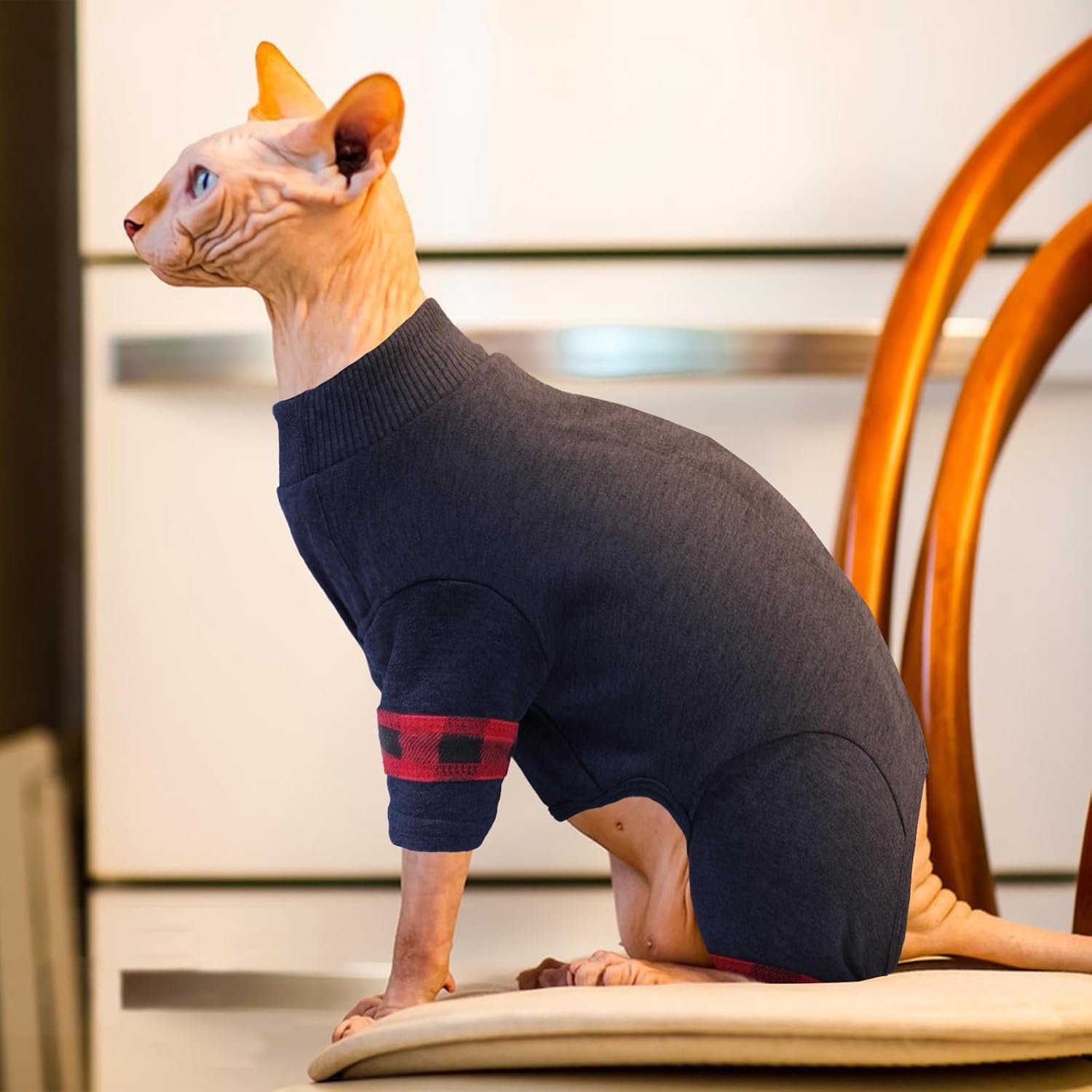 Sphynx Kattenkleding, katoenen kattenonesie, warme zachte trui met drukknoop op de rug, rekbare haarloze kattentrui, lichte winterpyjama voor binnenkatten, comfortabele herfstoutfit, blauw