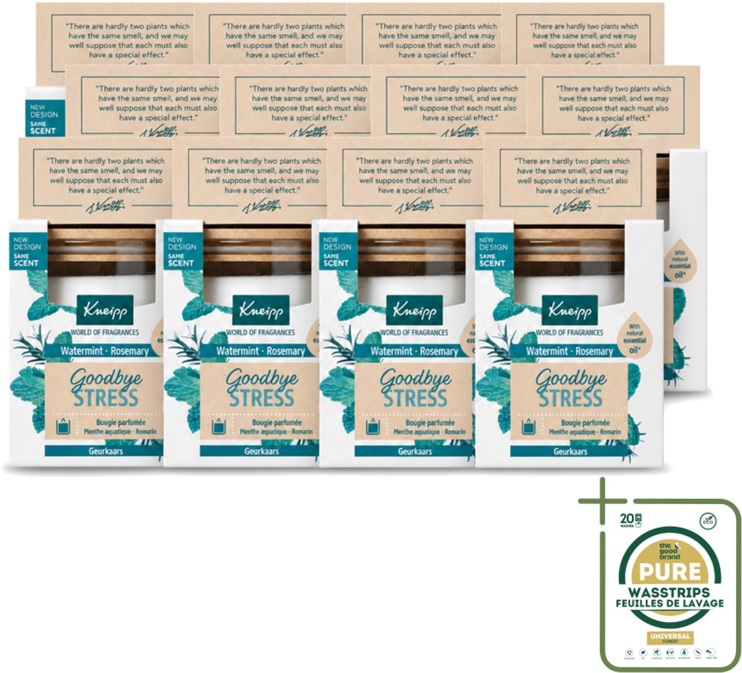 12 x Kneipp - Geurkaars - Goodbye Stress - Watermunt & Rozemarijn - 20 branduren - Wasstrips - Geurkaars - Ontspanning - Stressverlichting - Watermunt - Rozemarijn