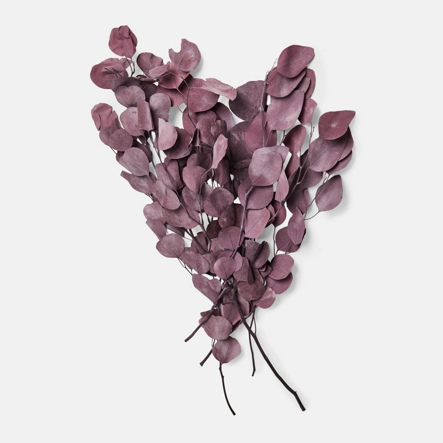 Loberon Kunstbloem eucalyptus Ianthee bordeaux
