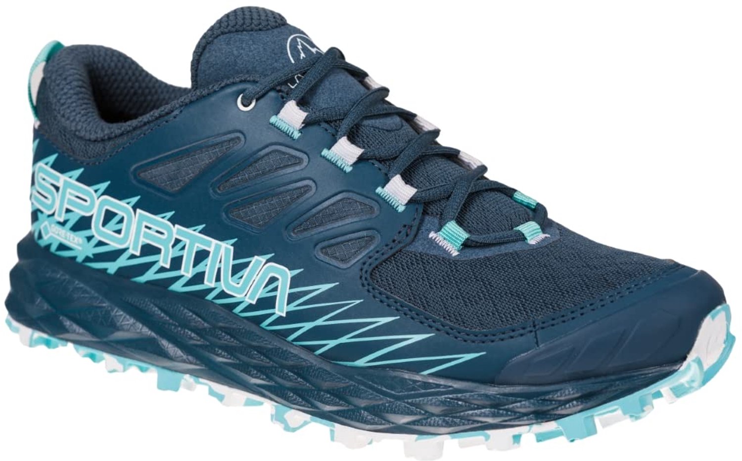 La Sportiva Lycan GTX Trailschoen Dames Middernacht/aquarel