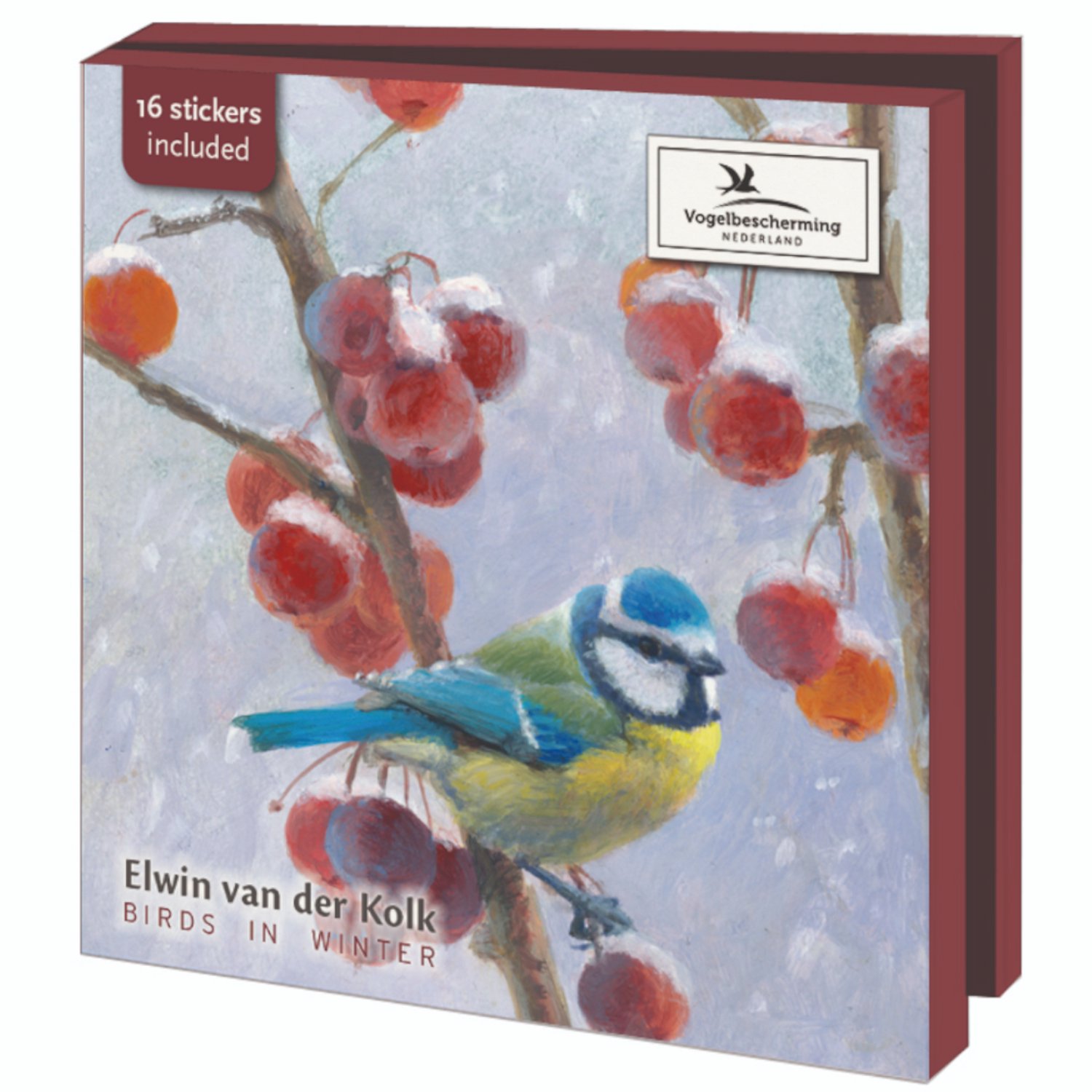 Wenskaarten Kerstkaarten 10x - Kaartenmapje met env, vierkant: Birds in winter, Elwin van der Kolk, Vogelbescherming - 2x5 motieven