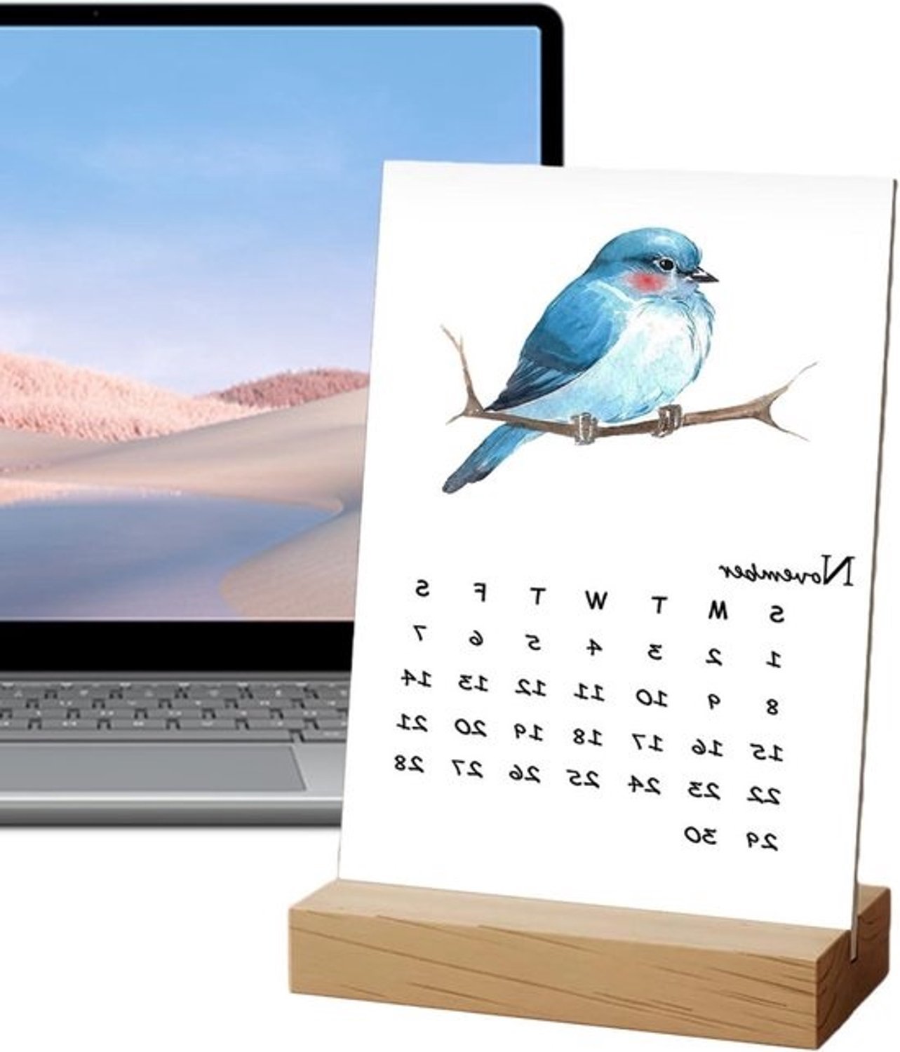Vogelkalender 2026 - Maand- en jaarplanner - Afspraken plannen - Aquarelillustraties - Verticale standaard - Meerdere kleuren