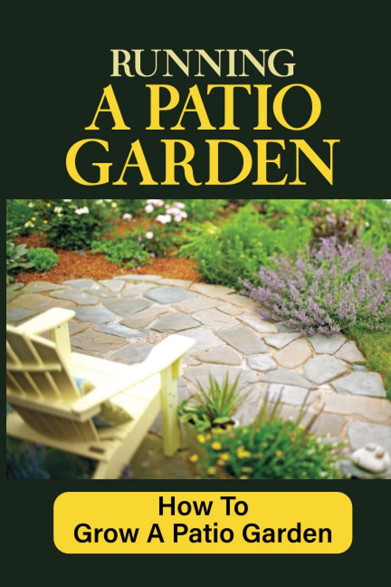 Running A Patio Garden: How To Grow A Patio Garden: Patio Gardening For Beginners - ShopVlot