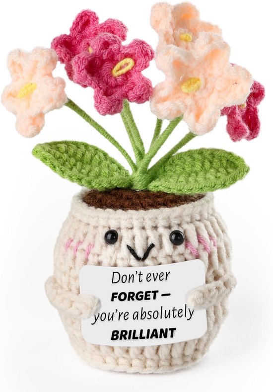 SnelShoppen - Gehaakte Vergeet-mij-niet Bloemen - Handgemaakte Plant in Witte Pot - Emotionele Steun Cadeau voor Vrienden, Familie & Collega's - Kanto