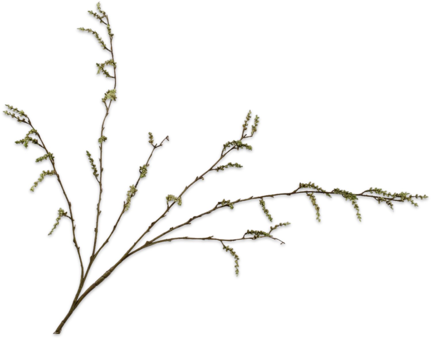 Silk-ka Wilgentak- Silk-ka- bruin groen- 126 cm