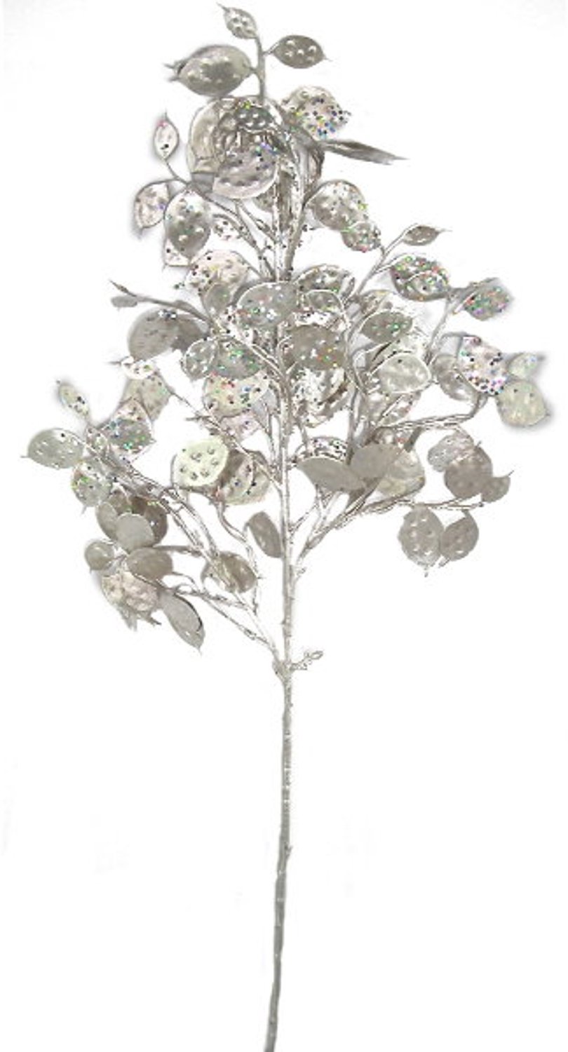 Buitengewoon Boet Kunsttak judaspenning zilver, 63 cm Buitengewoon de Boet onbekend