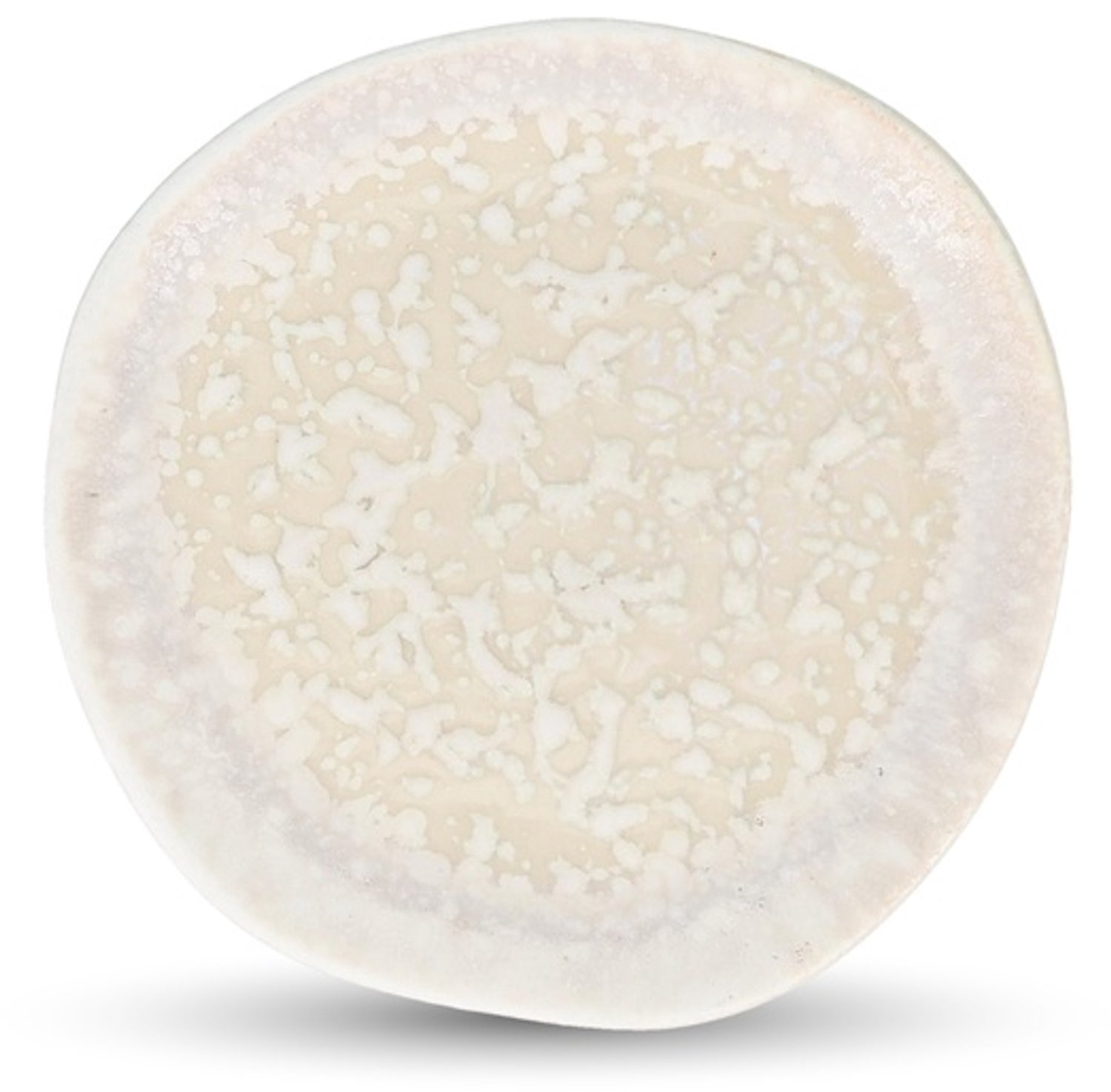 Fameilleur plat bord 15,5cm reef Rocha set van 2 - porseleinen eetbord en dinerbord, voor ontbijt, lunch, diner en hoofdgerecht, vaatwasser- en magnetronbestendig, voedselveilig, servies voor thuis, restaurant en horeca, mooi als cadeau