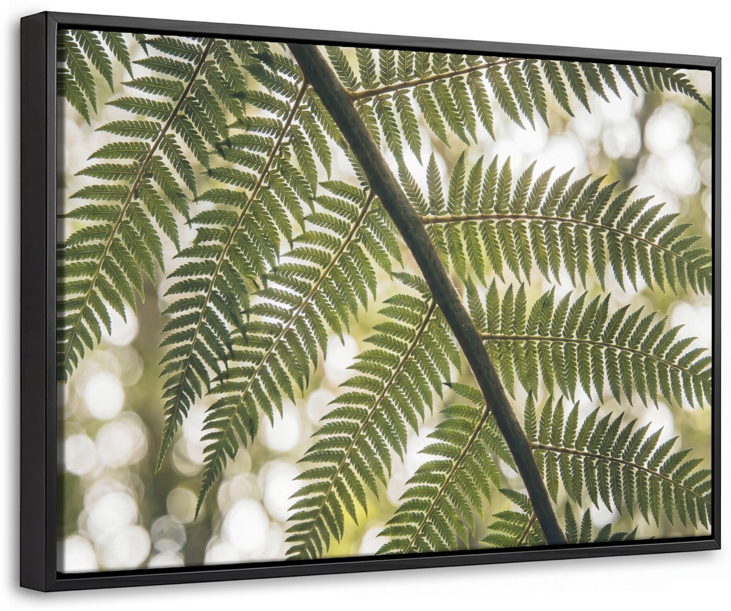 Canvas Schilderij met Baklijst - Plant - Blad - Natuur - Groen - Detail