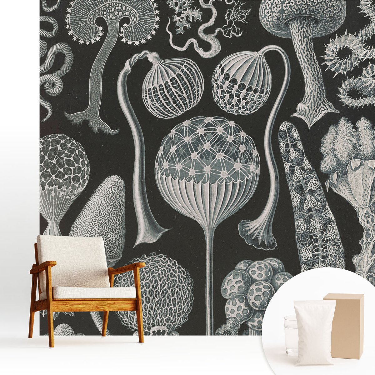 Wallfluent Fotobehang - Zwart Vliesbehang - 250x250 cm - Magische Planten Fotobehang Vlies - Hal behang Deel - Muurschildering - Woonkamer behang