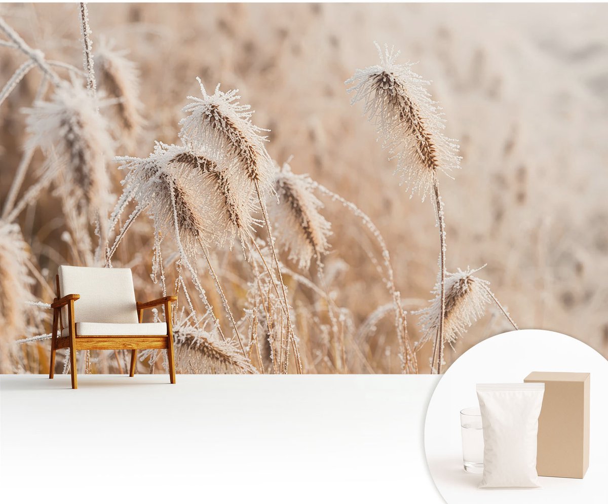 Wallfluent Fotobehang - Wit Vliesbehang - 416x254 cm - Winterlandschap Fotobehang Vlies - Woonkamer behang Bloemen En Planten - Muurschildering - Woonkamer behang
